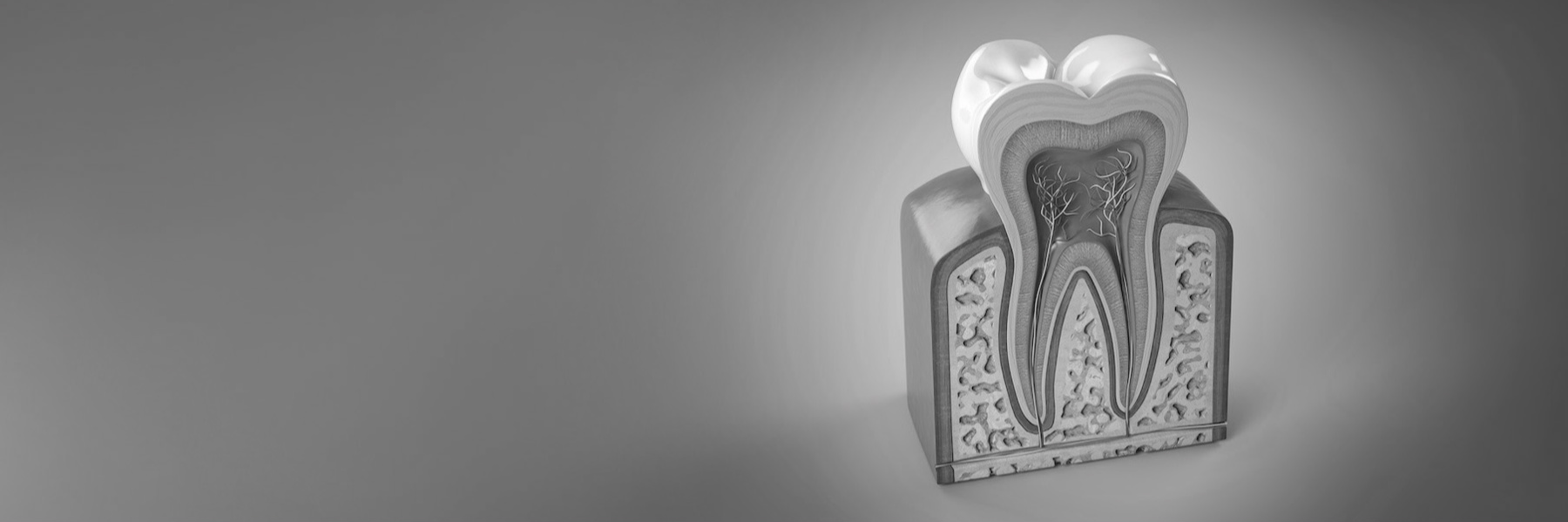 Wellness Dentistry | Dentist